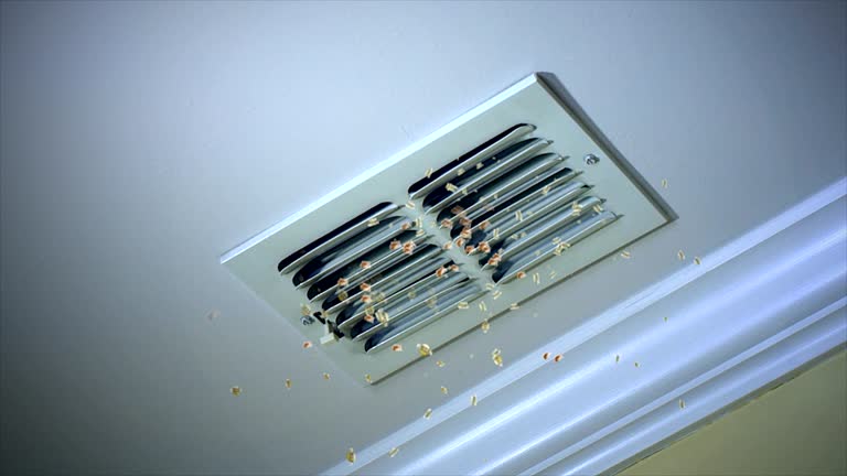 Professional Airduct Cleaning in Manteno, IL