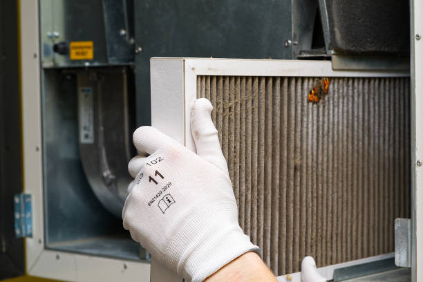 Best Professional Duct Cleaning Services  in Manteno, IL